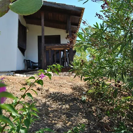 Vakantieboerderij 'a Cunziria