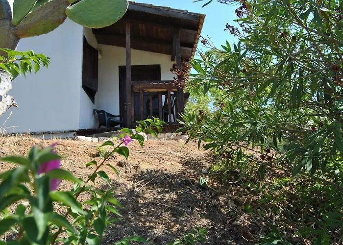 Çiftlik konaklama 'a Cunziria
